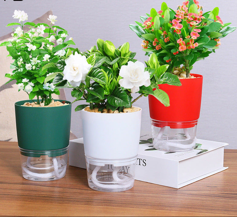 Transparent plastic flower pots creative double-layer water storage lazy automatic water absorption green radish potted flower pots round large wholesale