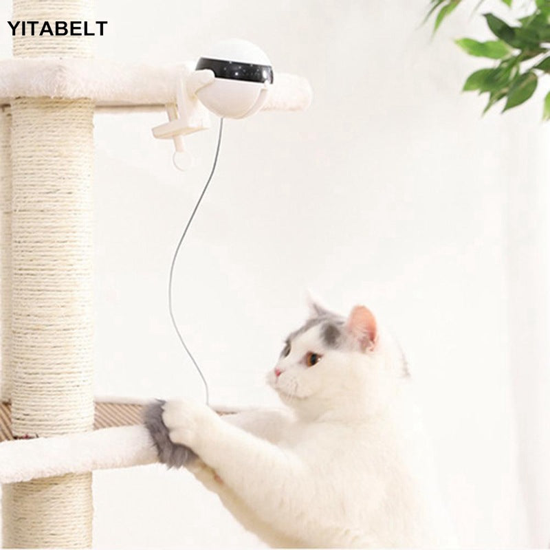 Pet cat toy Funny cat electric yo-yo lifting ball interactive educational toy