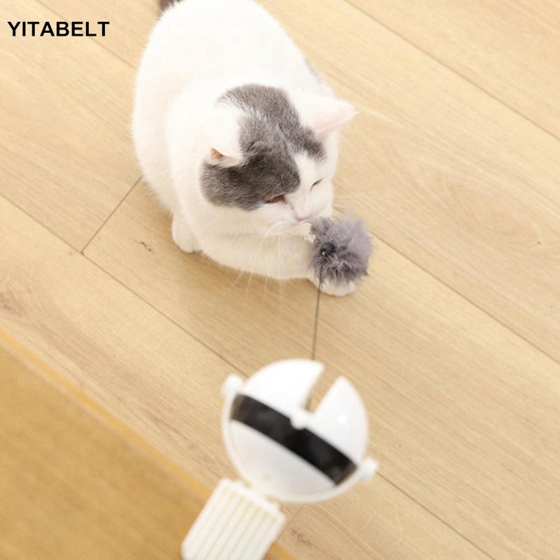 Pet cat toy Funny cat electric yo-yo lifting ball interactive educational toy