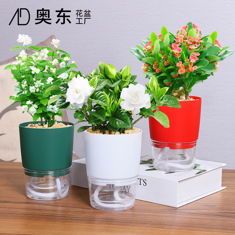 Transparent plastic flower pots creative double-layer water storage lazy automatic water absorption green radish potted flower pots round large wholesale