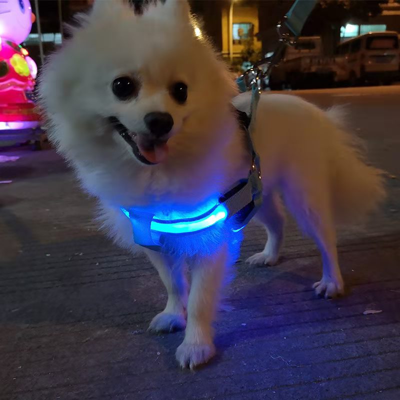 LED pet supplies LED luminous dog harness for medium and large dogs luminous dog aquarium lights led