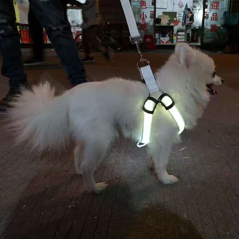 LED pet supplies LED luminous dog harness for medium and large dogs luminous dog aquarium lights led