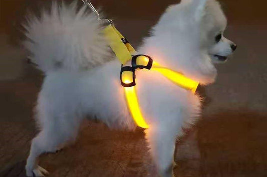 LED pet supplies LED luminous dog harness for medium and large dogs luminous dog aquarium lights led